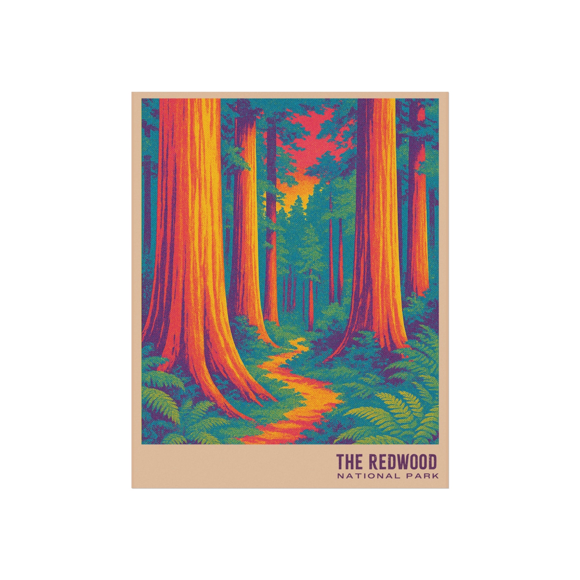 Redwoods National Park Poster : VINTAGEGRAPH Collection